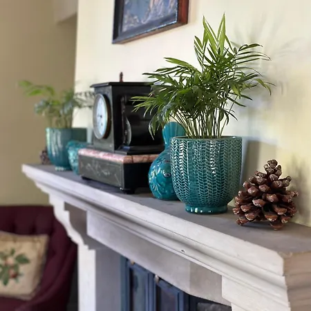 לינה וארוחת בוקר Tuberoza זקופאנה