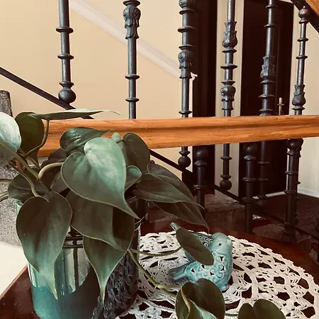 Tuberoza Bed & Breakfast Zakopane