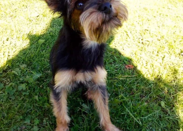 Tuberoza Nocleg ze śniadaniem 3*